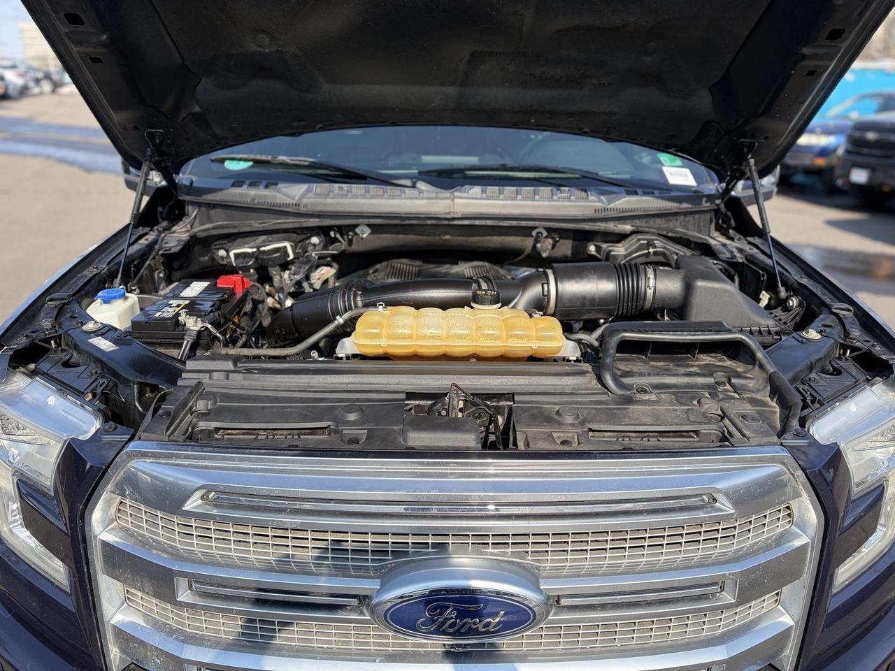 2017 Ford F-150 Platinum Springfield VA