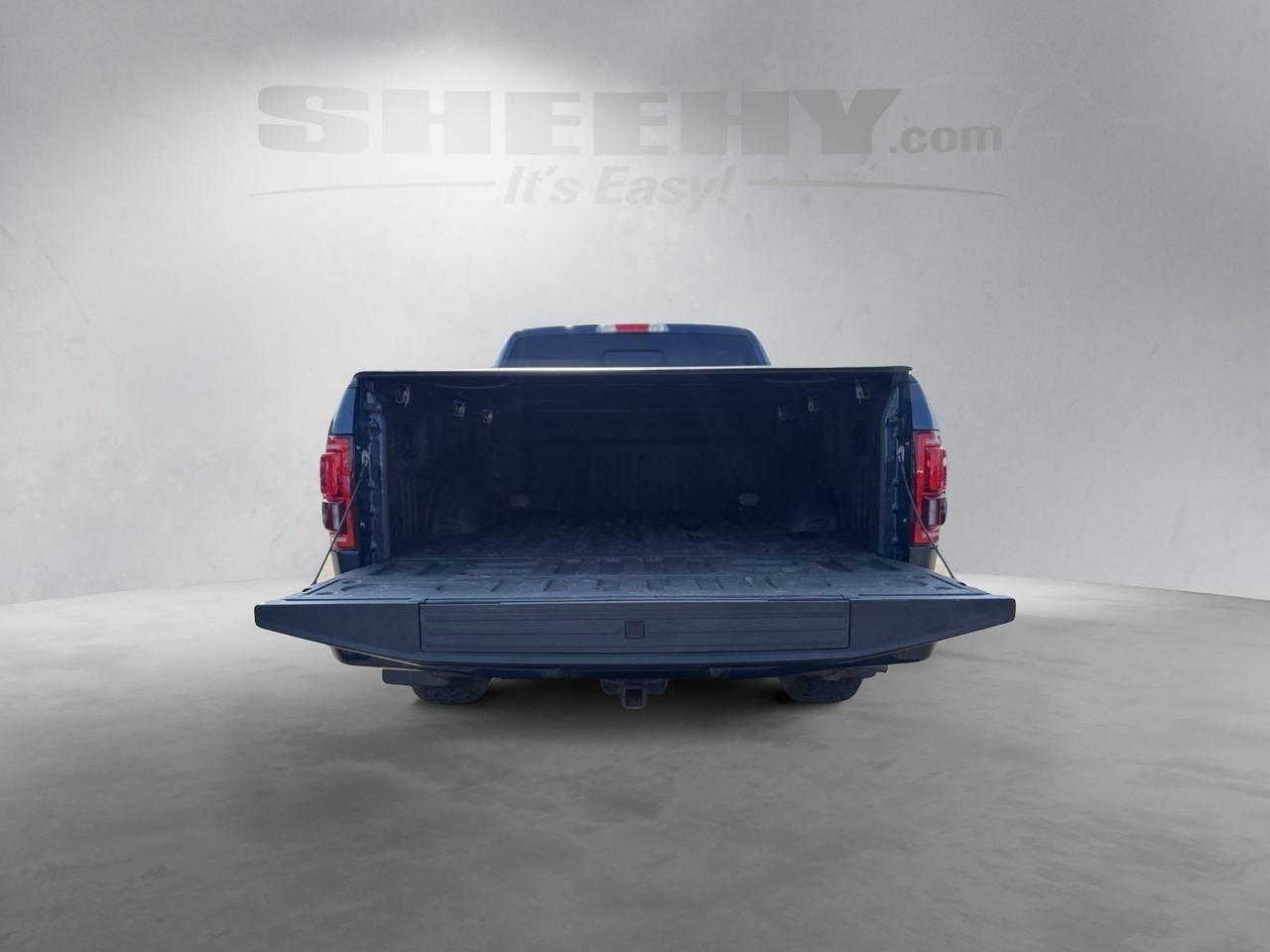 2017 Ford F-150 Platinum Springfield VA