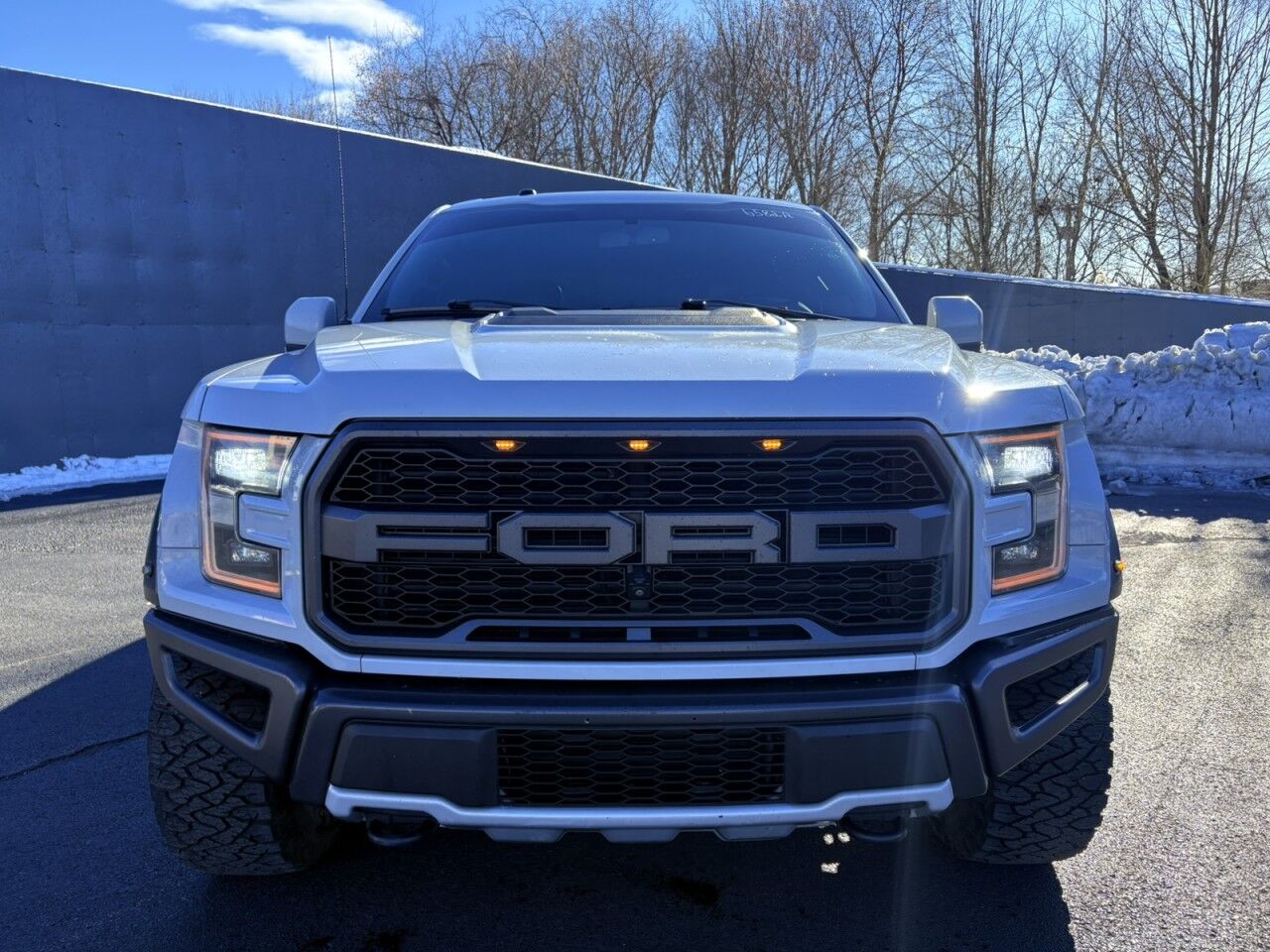 2017 Ford F-150 Raptor