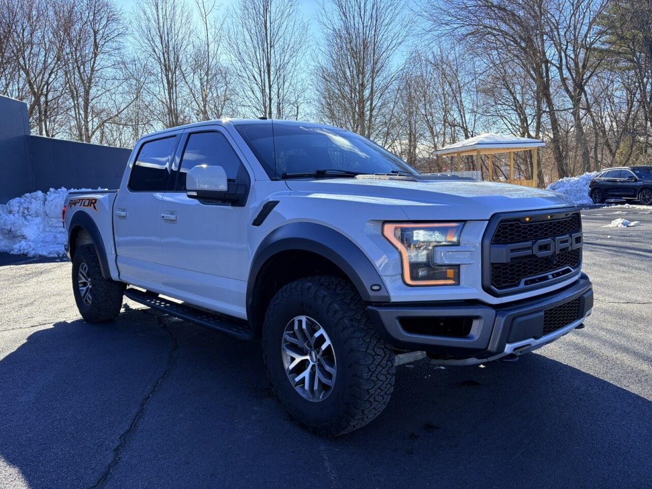 2017 Ford F-150 Raptor