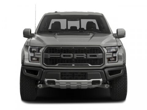 2017 Ford F-150 Raptor Winder GA