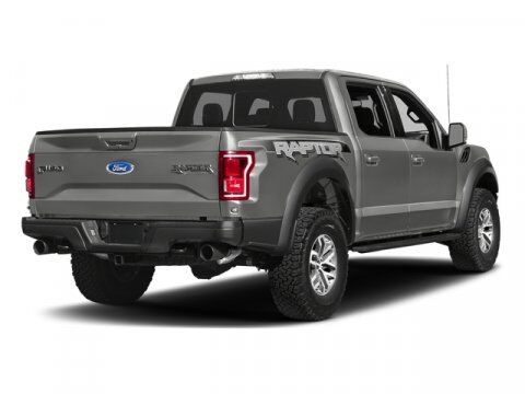 2017 Ford F-150 Raptor Winder GA