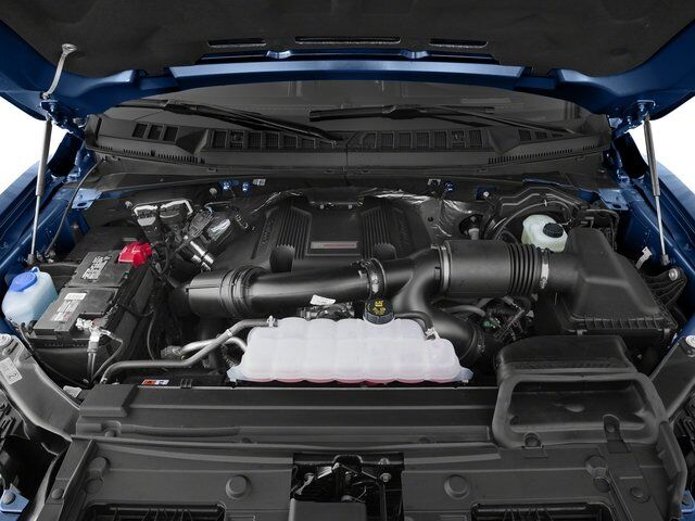 2017 Ford F-150 Raptor Winder GA