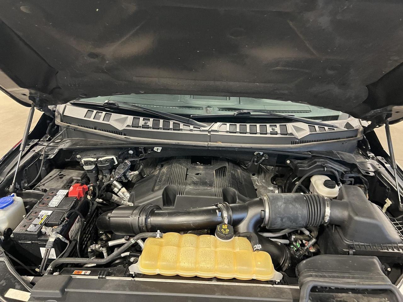 2017 Ford F-150 XLT Parker CO