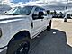 2017 Ford F-250SD  Fond du Lac WI