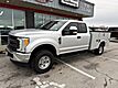 2017 Ford Ford Super Duty F-250 4x4 Utility XL