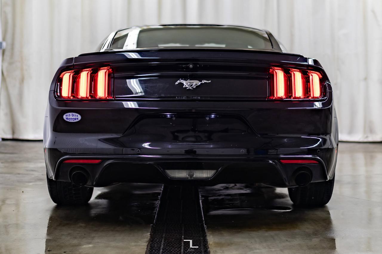 2017 Ford Mustang EcoBoost BCam Red Deer AB