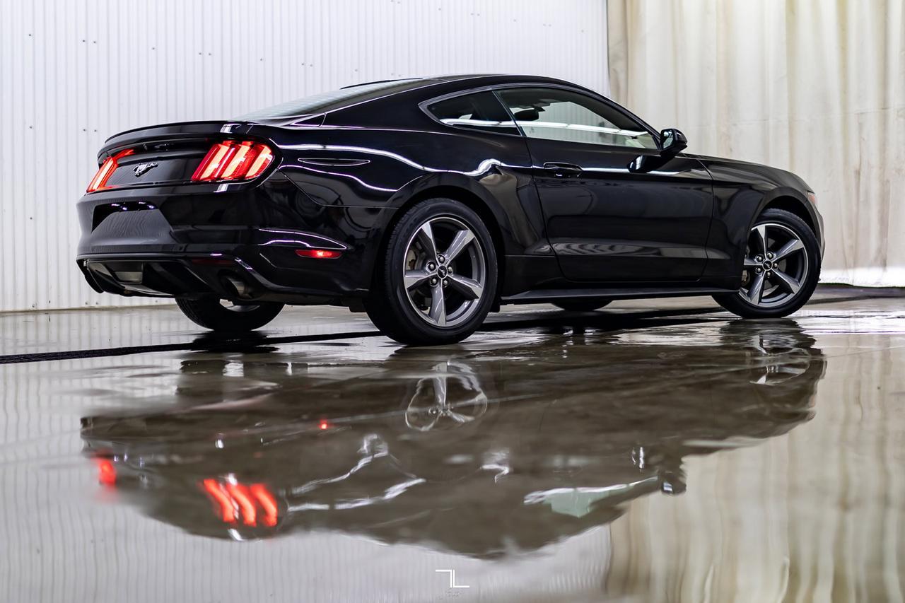 2017 Ford Mustang EcoBoost BCam Red Deer AB