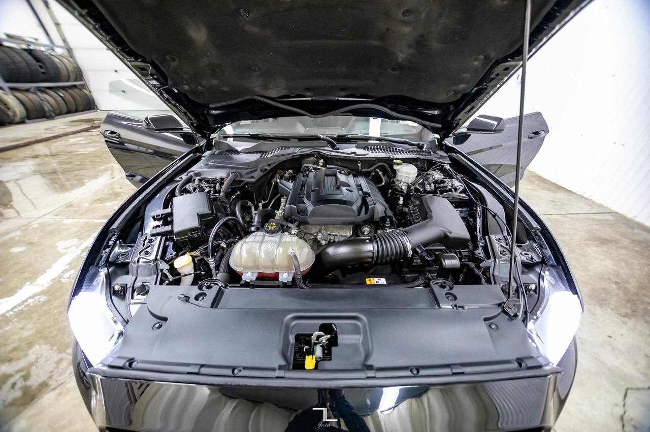 2017 Ford Mustang EcoBoost BCam Red Deer AB