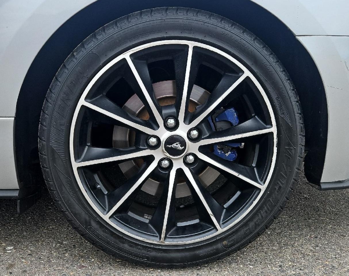 2017 Ford Mustang EcoBoost Premium Grand Junction CO