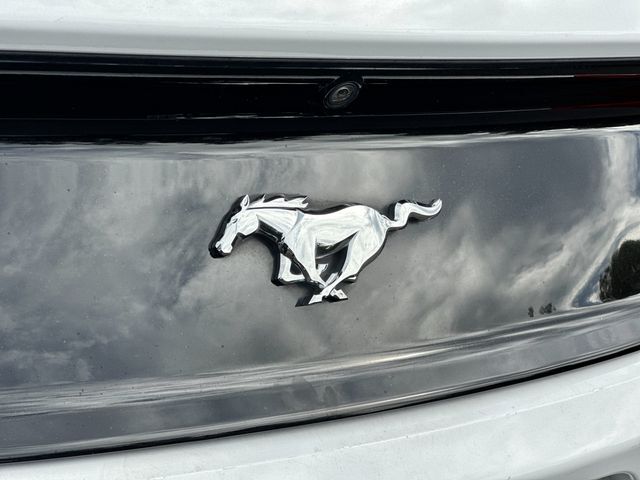 2017 Ford Mustang EcoBoost Premium Roseville CA