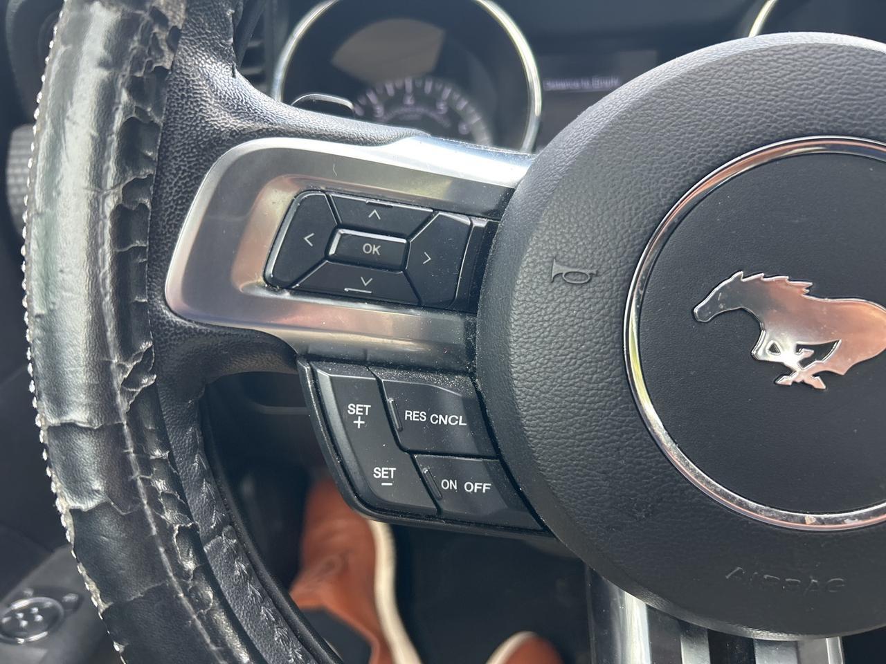 2017 Ford Mustang EcoBoost Ashland VA