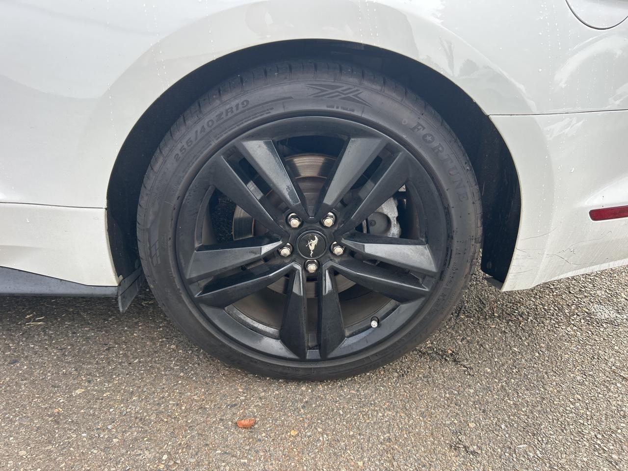 2017 Ford Mustang EcoBoost Ashland VA