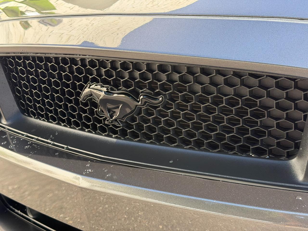 2017 Ford Mustang GT Fastback Jacksonville FL