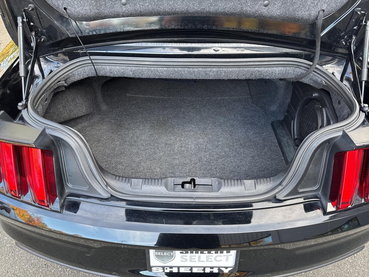 2017 Ford Mustang GT Premium Warrenton VA