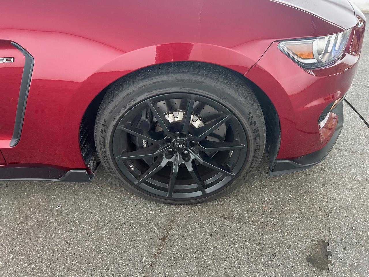 2017 Ford Mustang SHELBY New Braunfels TX