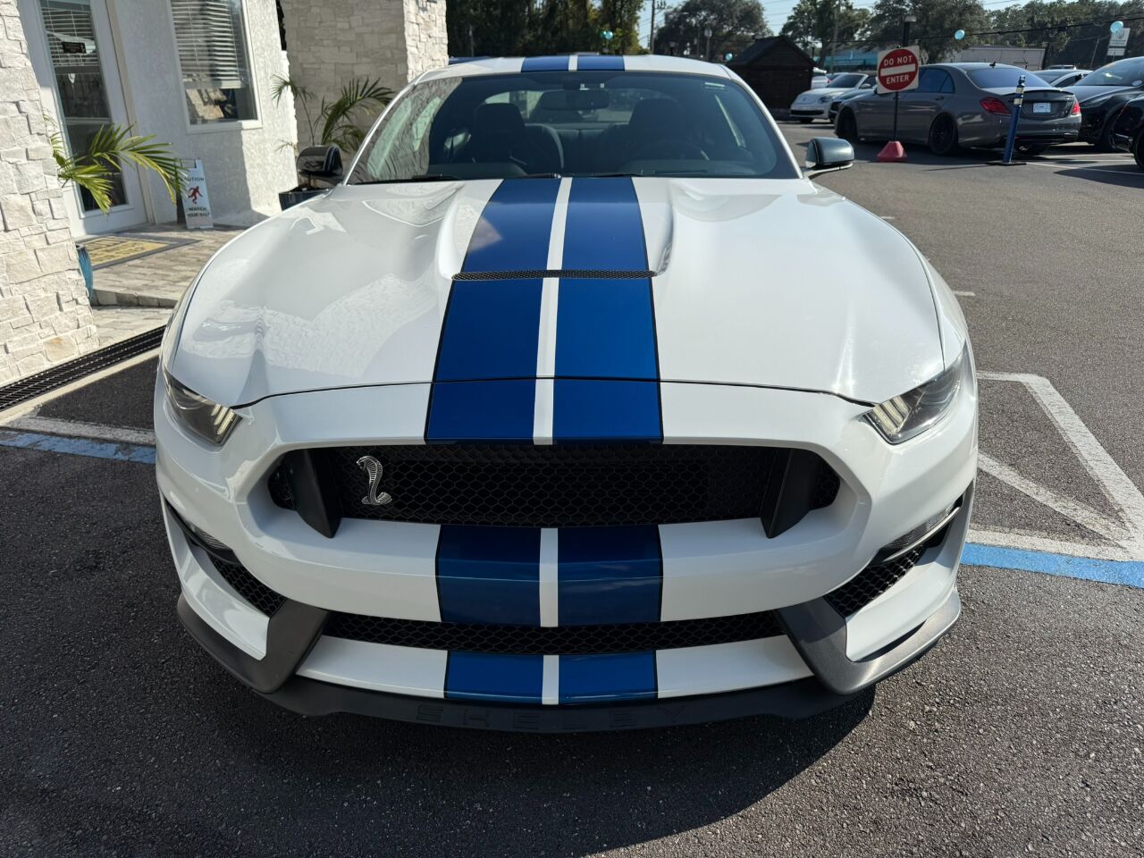 2017 Ford Mustang Shelby GT350R Fastback Jacksonville FL