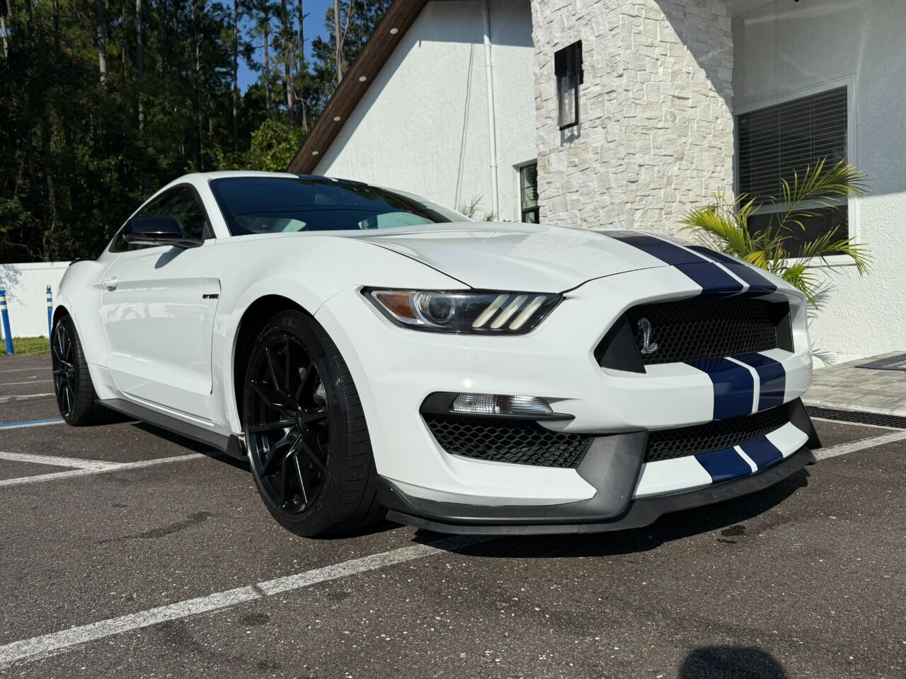 2017 Ford Mustang Shelby GT350R Fastback Jacksonville FL