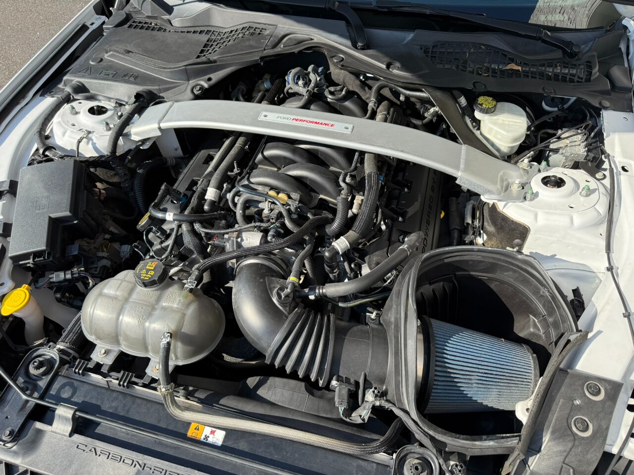 2017 Ford Mustang Shelby GT350R Fastback Jacksonville FL