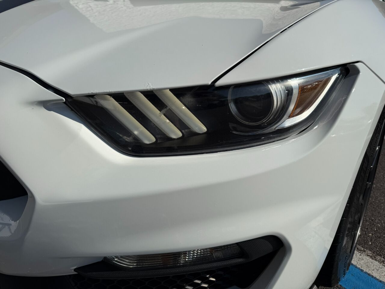 2017 Ford Mustang Shelby GT350R Fastback Jacksonville FL