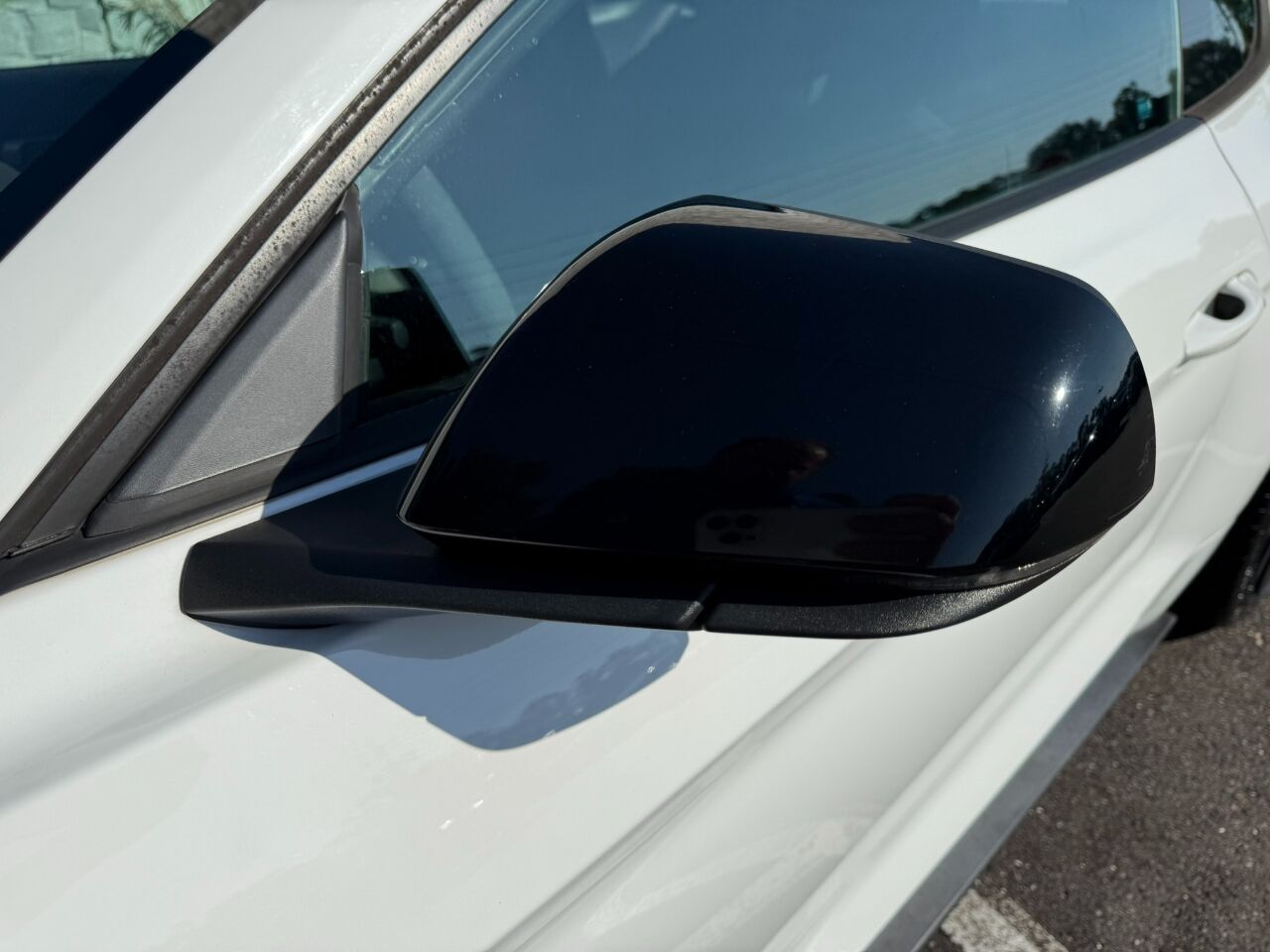 2017 Ford Mustang Shelby GT350R Fastback Jacksonville FL