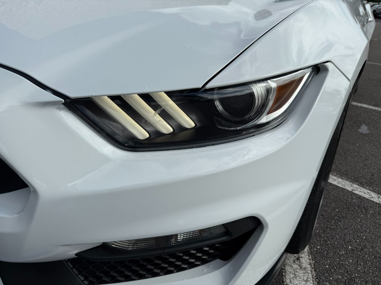 2017 Ford Mustang Shelby GT350R Fastback Jacksonville FL