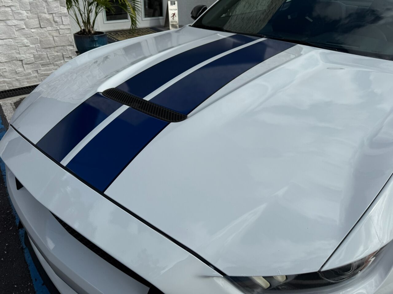 2017 Ford Mustang Shelby GT350R Fastback Jacksonville FL