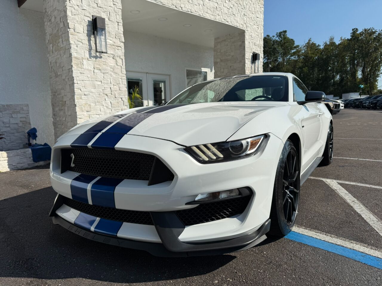 2017 Ford Mustang Shelby GT350R Fastback Jacksonville FL