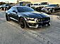 2017 Ford Mustang Shelby GT350R Henrico VA 2017 Ford Mustang Shelby GT350R Henrico VA