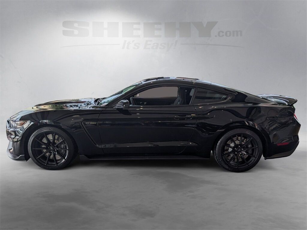 2017 Ford Mustang Shelby GT350R Cockeysville MD