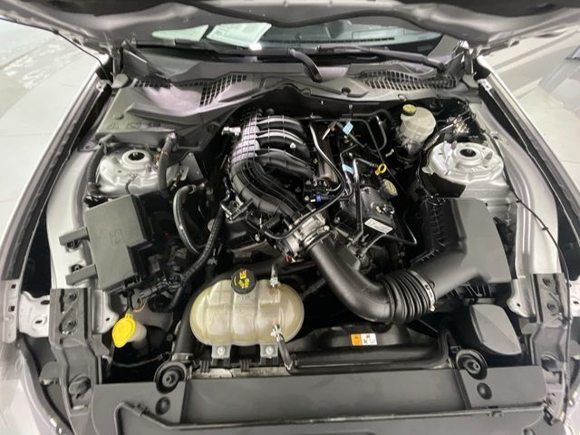 2017 Ford Mustang V6 Columbia SC