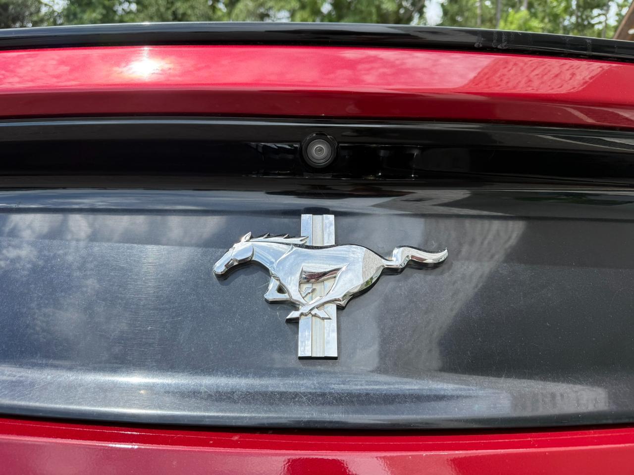 2017 Ford Mustang V6 Fastback Jacksonville FL