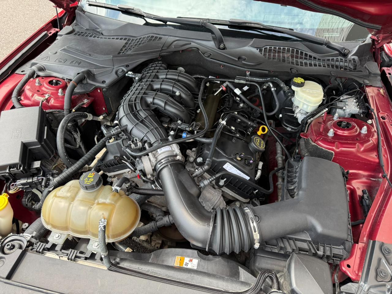 2017 Ford Mustang V6 Fastback Jacksonville FL