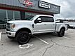 2017 Ford Super Crew F-250 4x4 Diesel Platinum