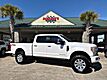 2017 Ford Super Duty F-250 Crew Cab 4WD Platinum