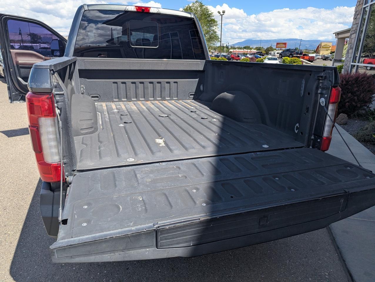 2017 Ford Super Duty F-250 SRW Platinum Grand Junction CO