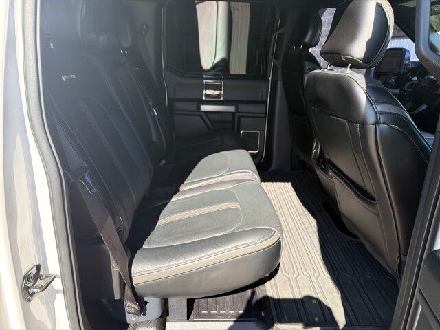 2017 Ford Super Duty F-250 SRW Platinum Lafayette LA