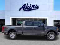 2017 Ford Super Duty F-250 SRW Platinum Winder GA 2017 Ford Super Duty F-250 SRW Platinum Winder GA