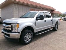 Ford Super Duty F-250 SRW XL 2017