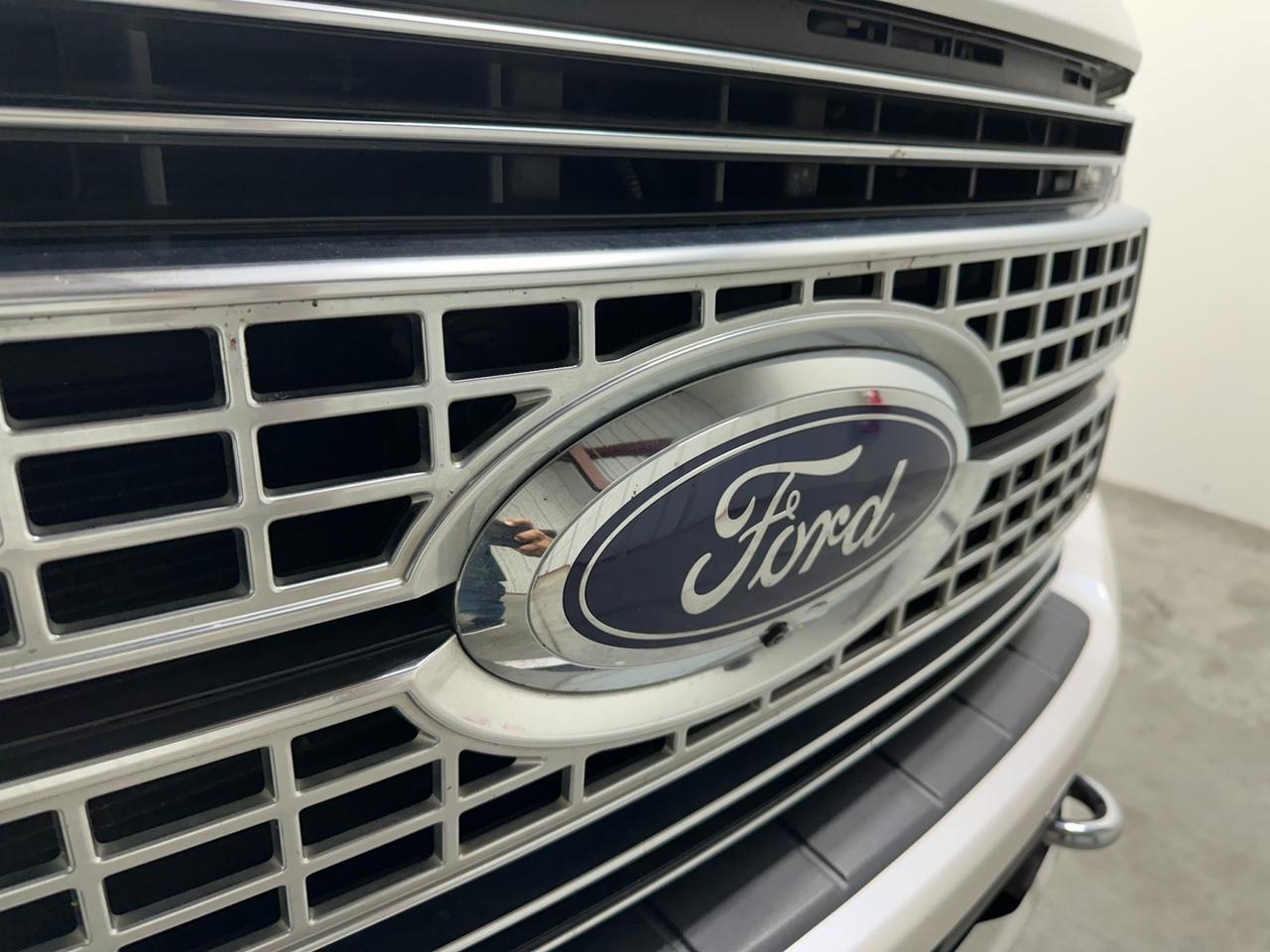 2017 Ford Super Duty F-450 DRW Platinum Houston TX