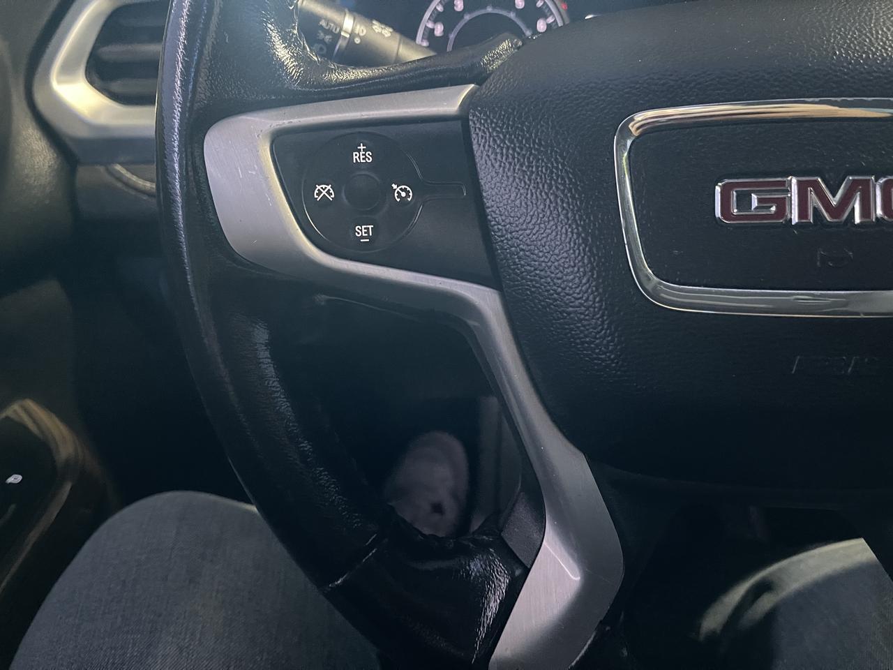 2017 GMC ACADIA SLE2 Kansas City MO
