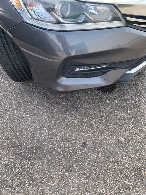 2017 Honda Accord EX-L Raleigh NC