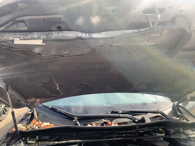 2017 Honda Accord EX-L Raleigh NC