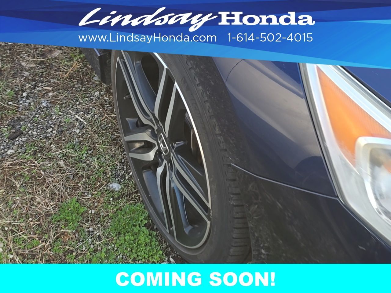 2017 Honda Accord Sport Special Edition Columbus OH