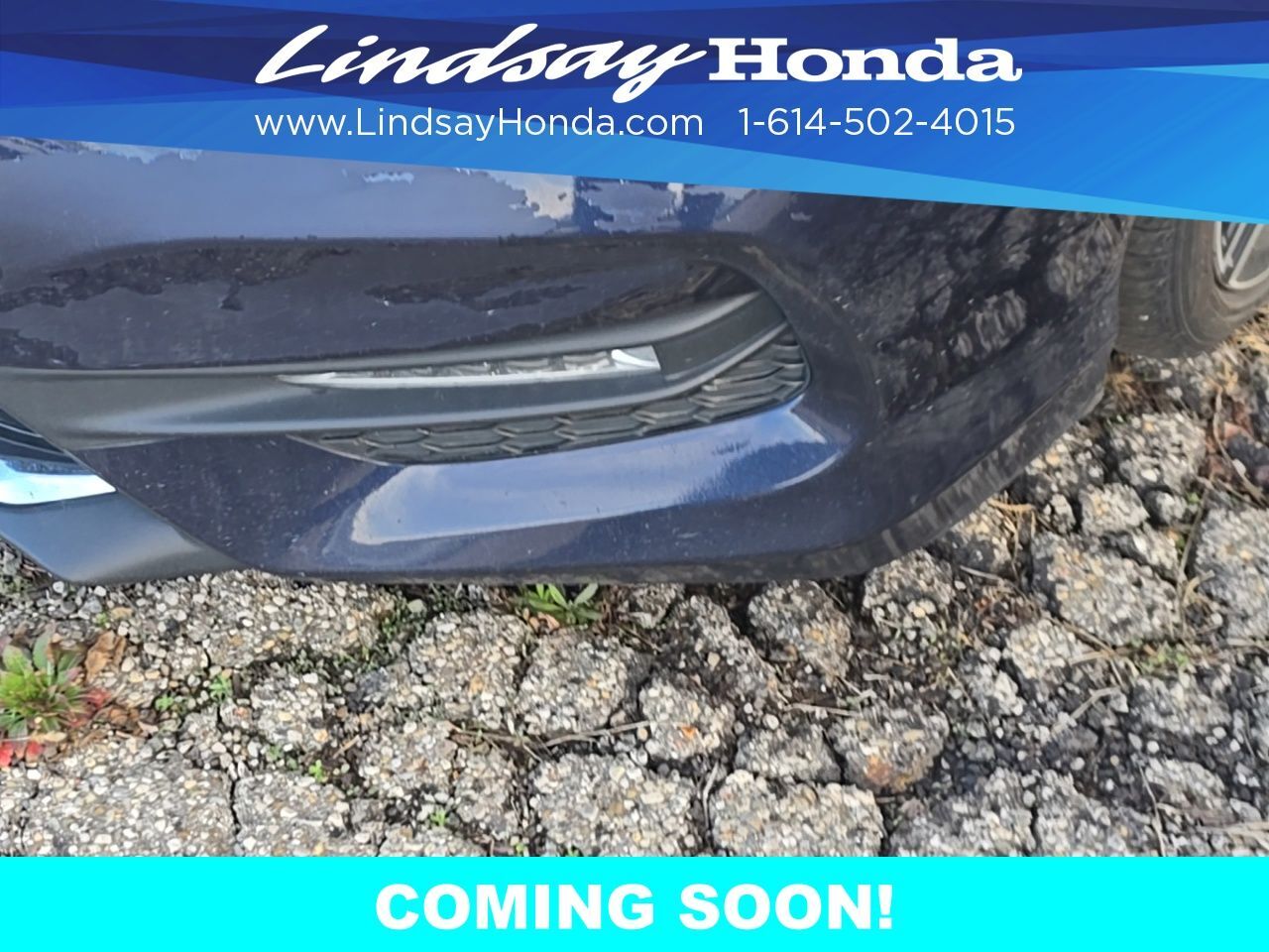 2017 Honda Accord Sport Special Edition Columbus OH