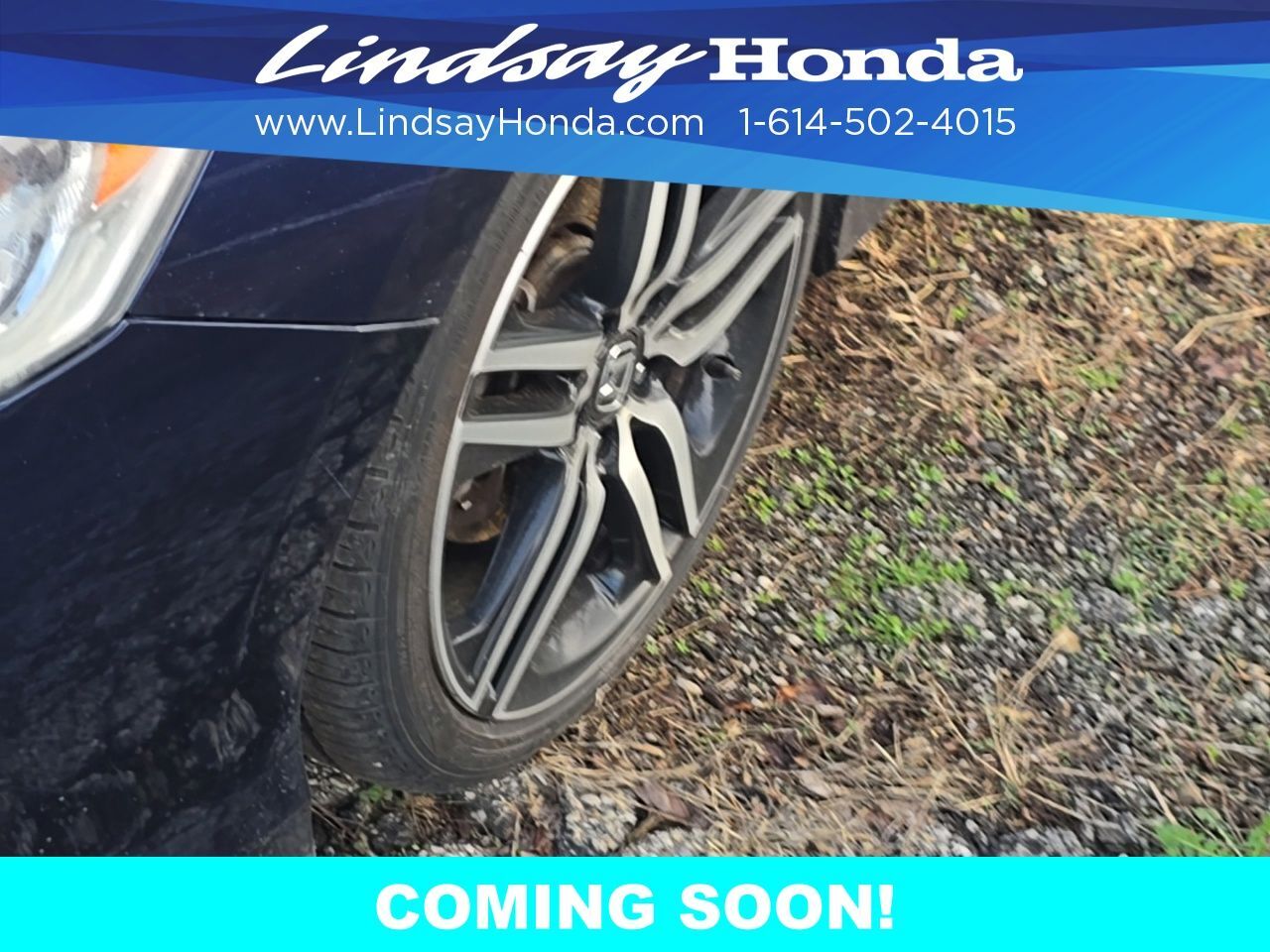 2017 Honda Accord Sport Special Edition Columbus OH