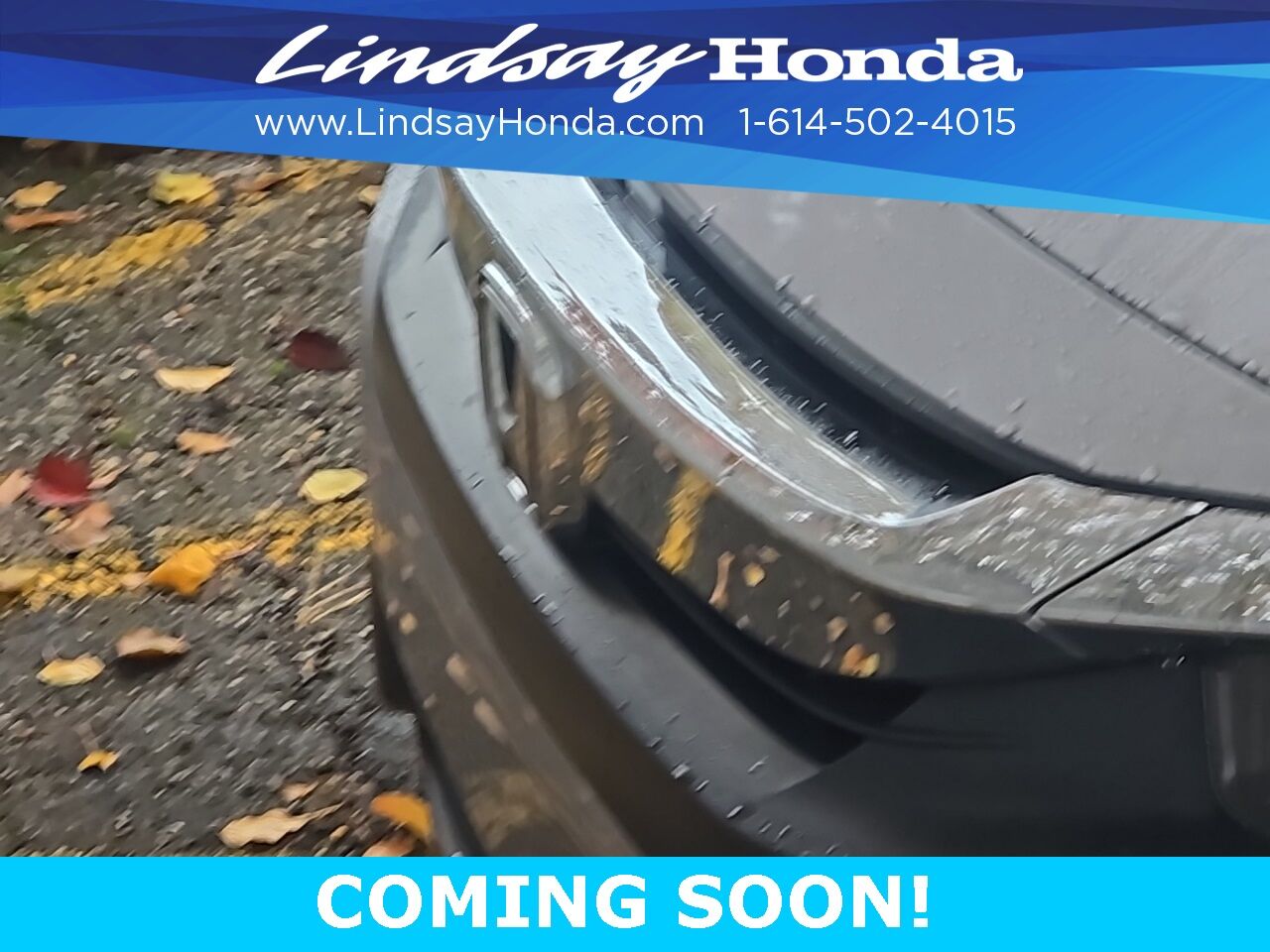 2017 Honda Civic LX-P Columbus OH