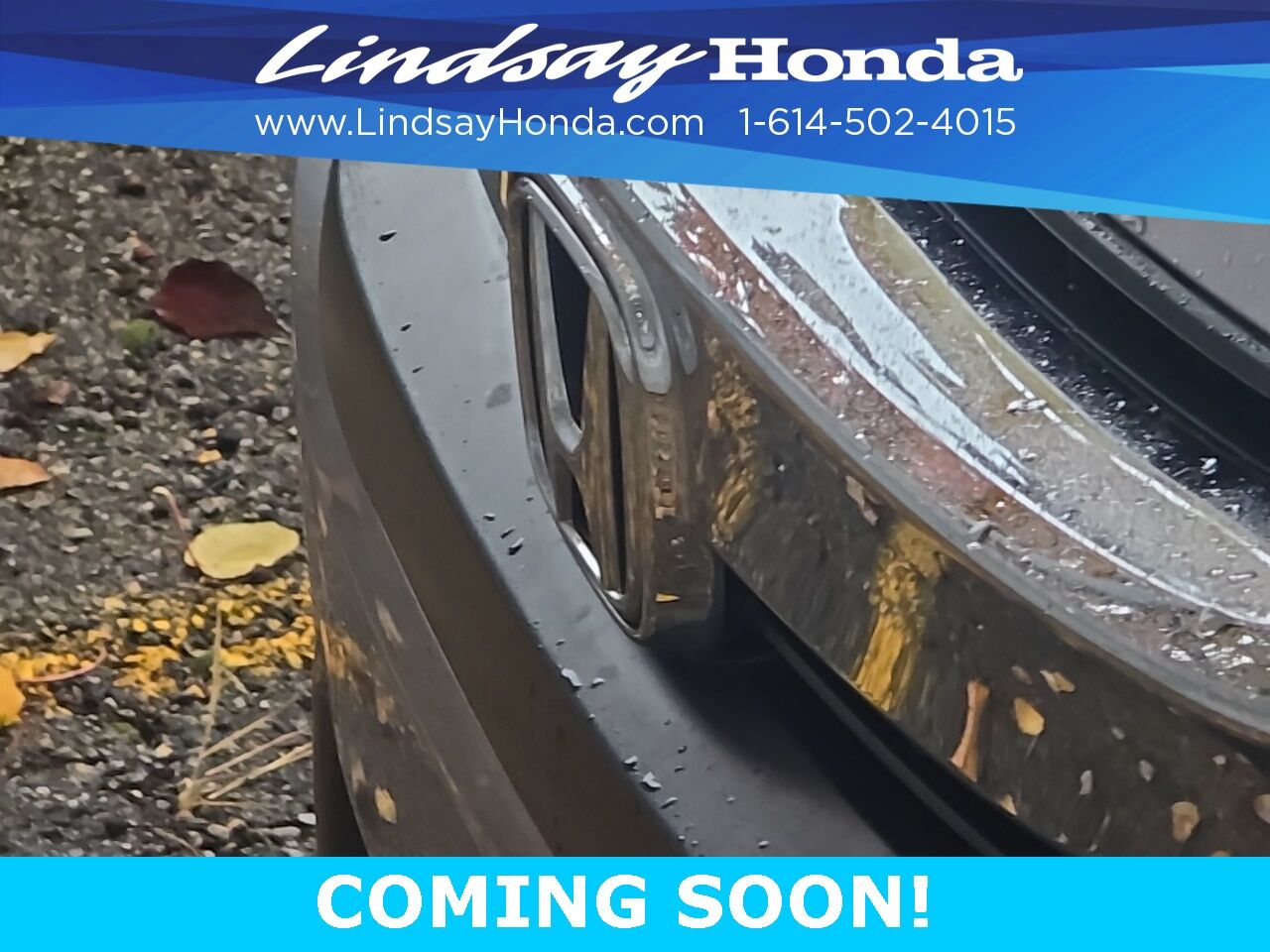 2017 Honda Civic LX-P Columbus OH