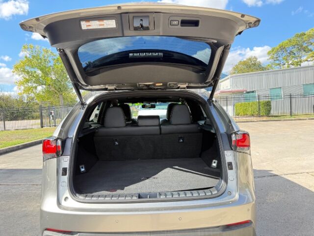 2017 Lexus NX 200t F Sport Houston TX