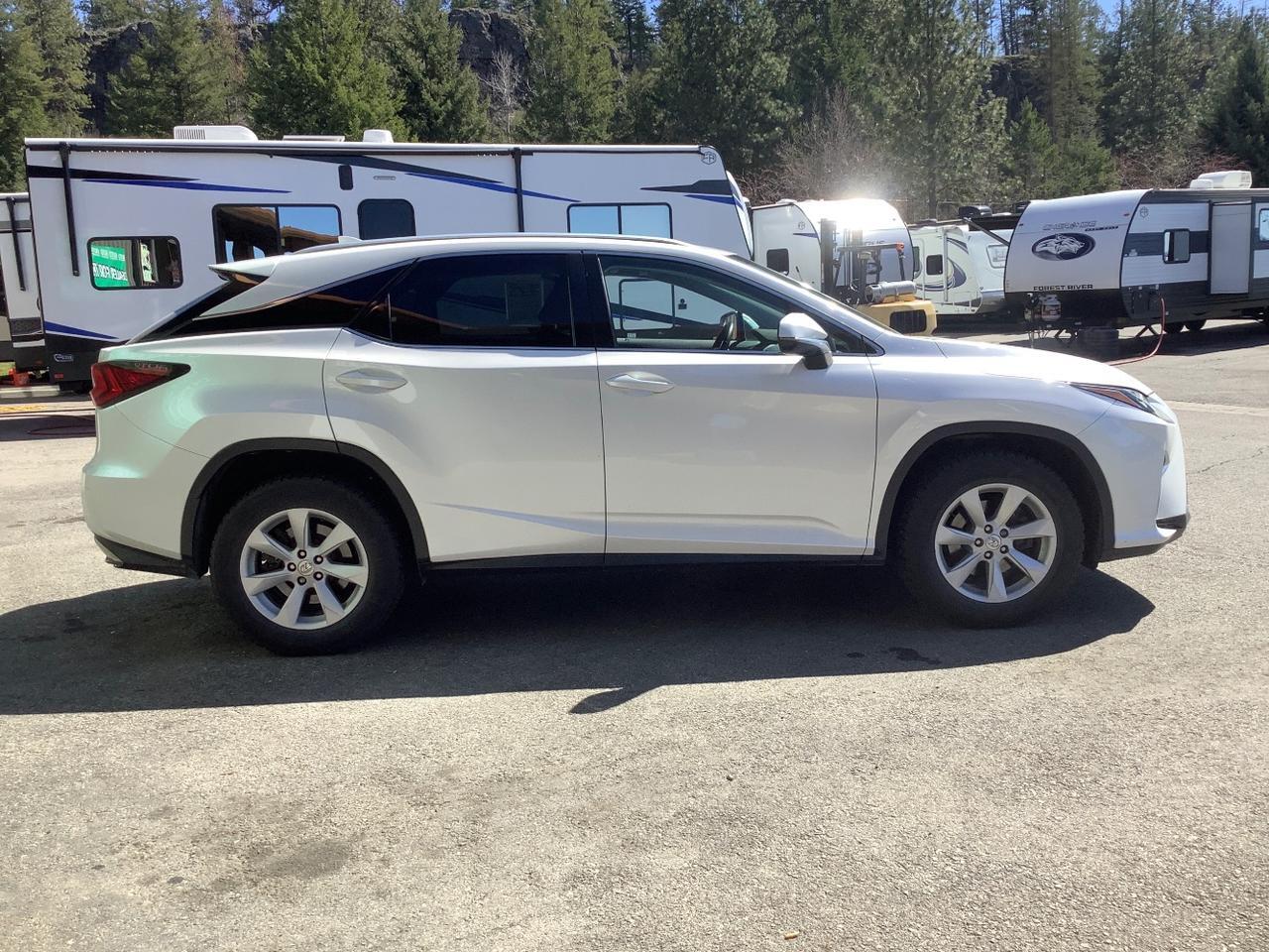 2017 Lexus RX 350 RX Hayden ID